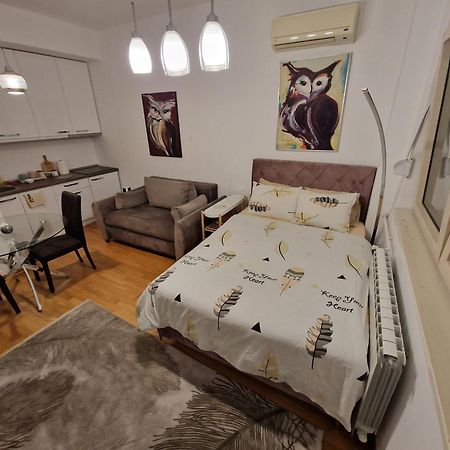 Owl Apartment Βελιγράδι Εξωτερικό φωτογραφία