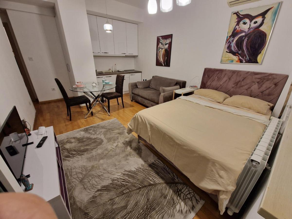 Owl Apartment Βελιγράδι Εξωτερικό φωτογραφία